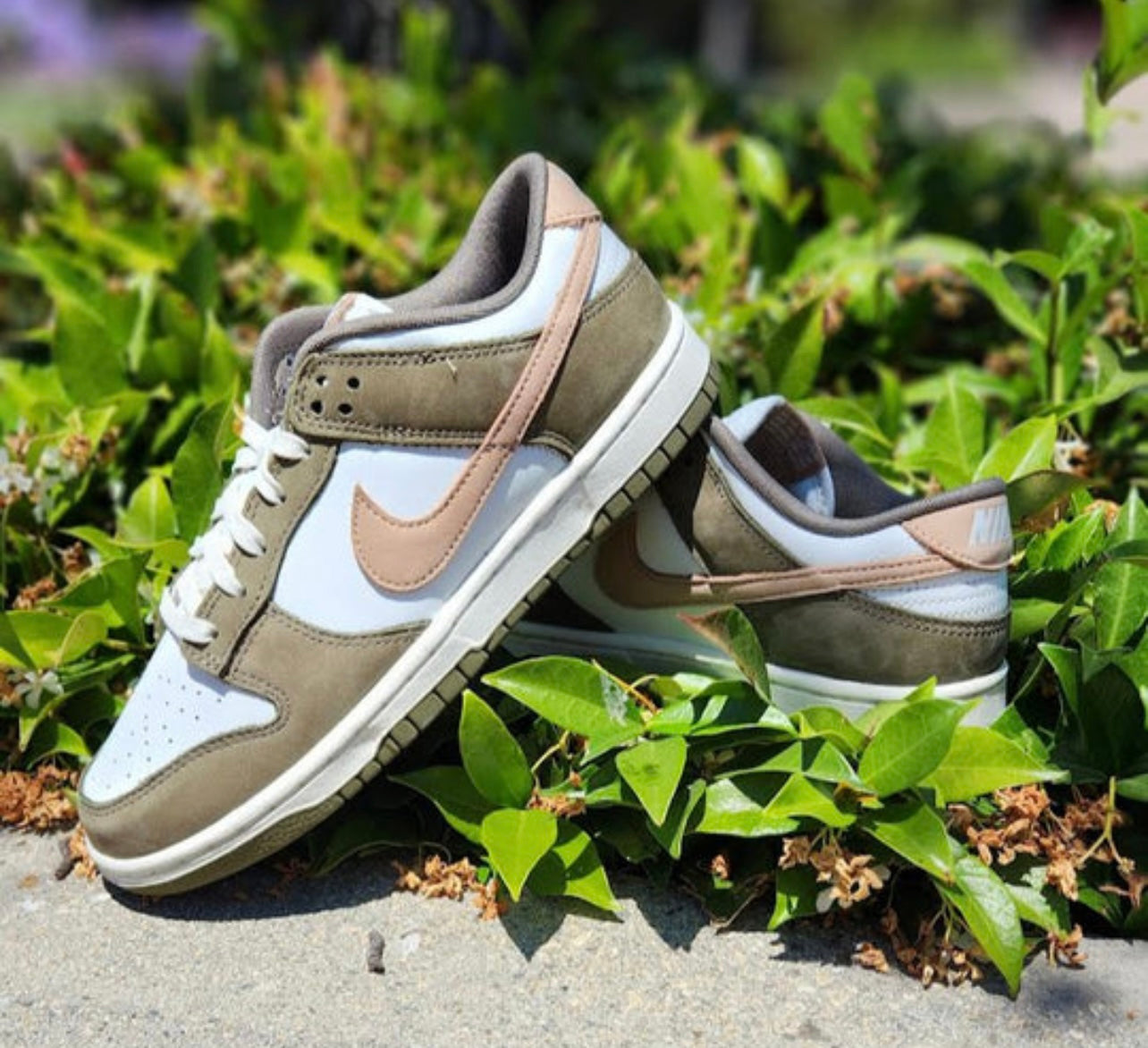 Nike Dunk Low SE - Oil Green / Sail / Orange Blaze